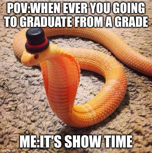 graduation be like | POV:WHEN EVER YOU GOING TO GRADUATE FROM A GRADE; ME:IT'S SHOW TIME | image tagged in dapper snek | made w/ Imgflip meme maker
