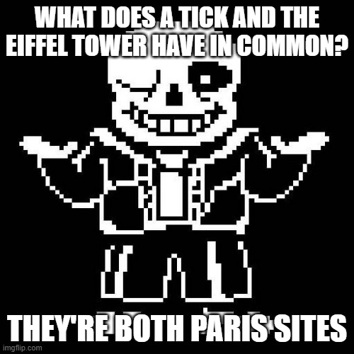 Another joke :/ 2 | WHAT DOES A TICK AND THE EIFFEL TOWER HAVE IN COMMON? THEY'RE BOTH PARIS SITES | image tagged in sans undertale,bad pun | made w/ Imgflip meme maker