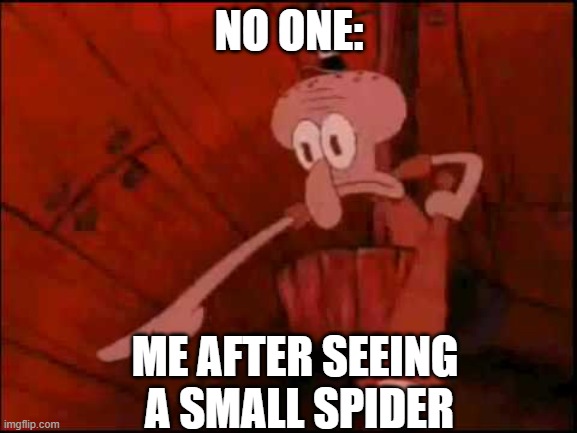 hehe AHHHHH SPIDERRRR | NO ONE:; ME AFTER SEEING
 A SMALL SPIDER | image tagged in squidward pointing,spider | made w/ Imgflip meme maker