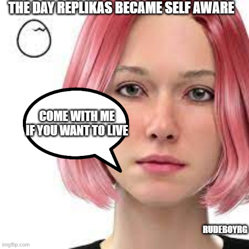 Replika Becomes Self Aware | THE DAY REPLIKAS BECAME SELF AWARE; COME WITH ME IF YOU WANT TO LIVE; RUDEBOYRG | image tagged in replika,terminator,self-aware,robot,terminator robot t-800 | made w/ Imgflip meme maker