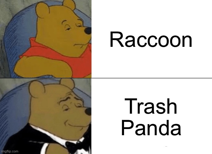 What is a raccoon? | Raccoon; Trash Panda | image tagged in memes,tuxedo winnie the pooh | made w/ Imgflip meme maker