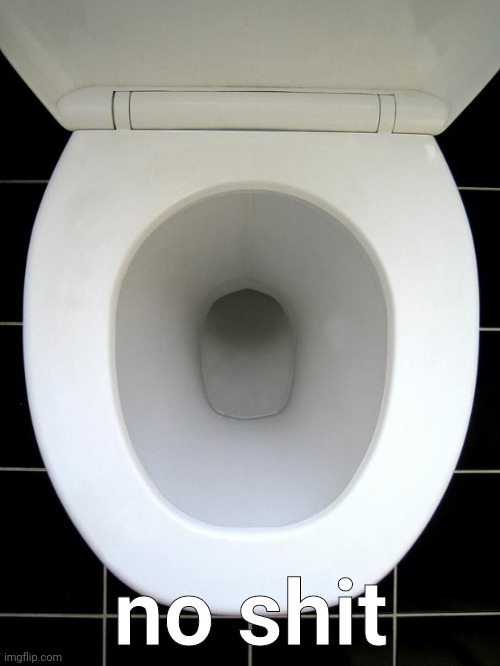 TOILET | no shit | image tagged in toilet | made w/ Imgflip meme maker