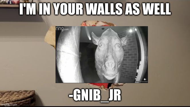 I am in your walls | I'M IN YOUR WALLS AS WELL; -GNIB_JR | image tagged in i am in your walls,gnib_jr | made w/ Imgflip meme maker
