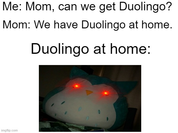 Duolingo | Me: Mom, can we get Duolingo? Mom: We have Duolingo at home. Duolingo at home: | image tagged in duolingo,duolingo bird,mom can we have | made w/ Imgflip meme maker