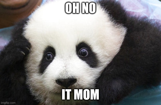 THE MEMES MUST BE KEPT A SECRET | OH NO; IT MOM | image tagged in panda | made w/ Imgflip meme maker