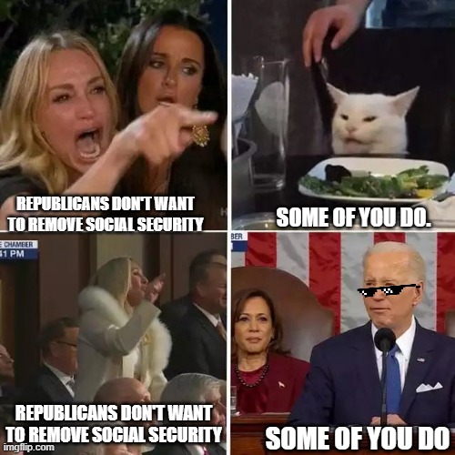 Boebert and MTG are the new Cat Ladies. | REPUBLICANS DON'T WANT TO REMOVE SOCIAL SECURITY; SOME OF YOU DO. REPUBLICANS DON'T WANT TO REMOVE SOCIAL SECURITY; SOME OF YOU DO | image tagged in lolcat,angry woman,sotu,politics,memes,damnlol | made w/ Imgflip meme maker