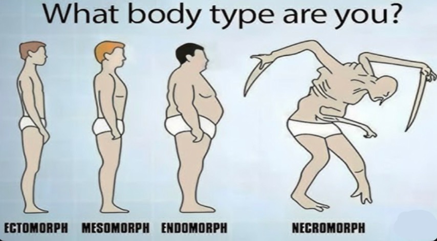 What body type are you? Blank Meme Template