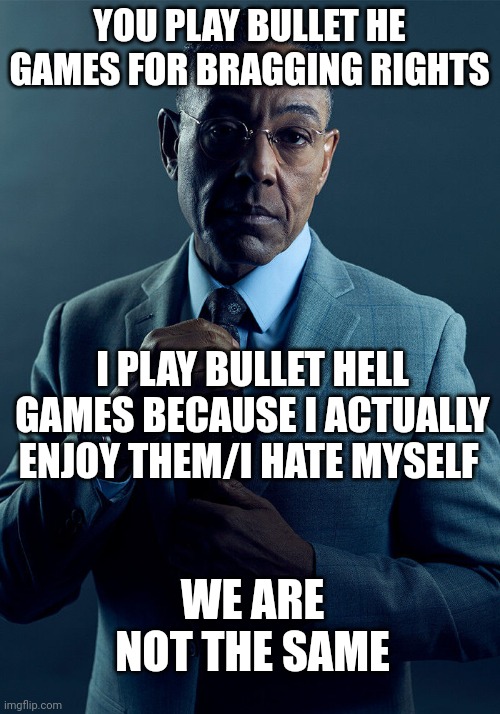 Gus Fring we are not the same | YOU PLAY BULLET HE GAMES FOR BRAGGING RIGHTS; I PLAY BULLET HELL GAMES BECAUSE I ACTUALLY ENJOY THEM/I HATE MYSELF; WE ARE NOT THE SAME | image tagged in gus fring we are not the same | made w/ Imgflip meme maker