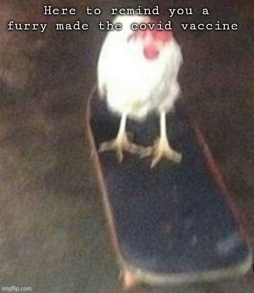 Dog on skateboard | Here to remind you a furry made the covid vaccine | image tagged in dog on skateboard | made w/ Imgflip meme maker
