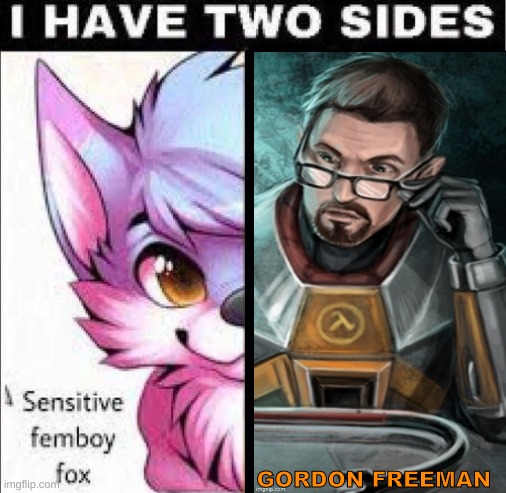 half-life status | GORDON FREEMAN | image tagged in i have two sides | made w/ Imgflip meme maker