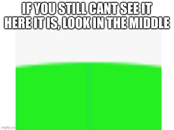 IF YOU STILL CANT SEE IT HERE IT IS, LOOK IN THE MIDDLE | made w/ Imgflip meme maker