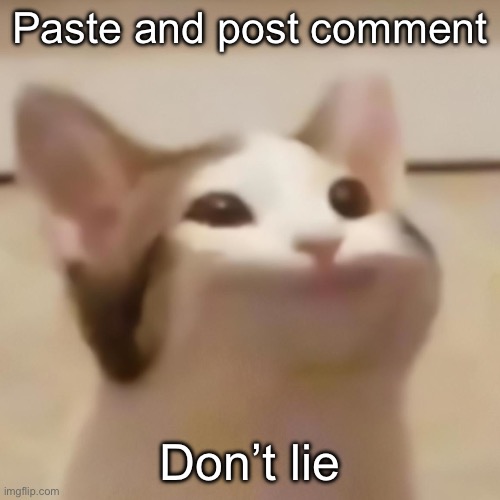 pop cat | Paste and post comment; Don’t lie | image tagged in pop cat | made w/ Imgflip meme maker