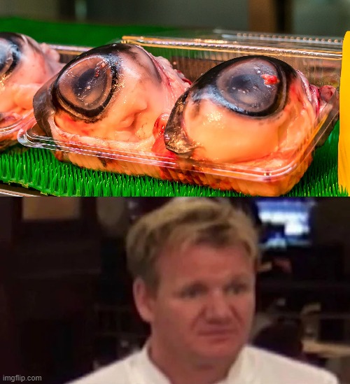 What | image tagged in disgusted gordon ramsay,memes,gross,food,disgusting,wtf | made w/ Imgflip meme maker