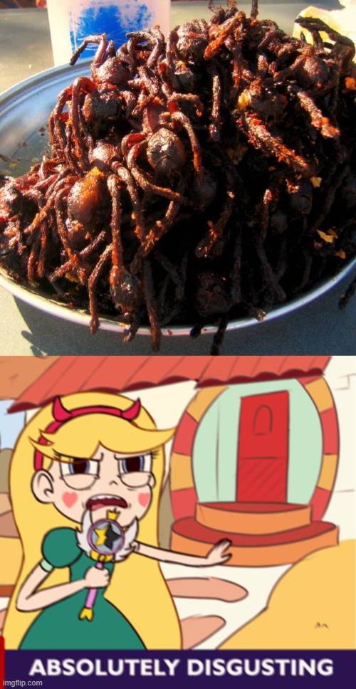 WHAT THE HEEEEEEEEEEEEEEEEEEEEEEEEEEEELLLLLLLLLLLLLL | image tagged in absolutely disgusting,star vs the forces of evil,memes,food,disgusting,wtf | made w/ Imgflip meme maker