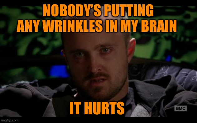 Jesse Pinkman, Bitch. | NOBODY’S PUTTING ANY WRINKLES IN MY BRAIN IT HURTS | image tagged in jesse pinkman bitch | made w/ Imgflip meme maker