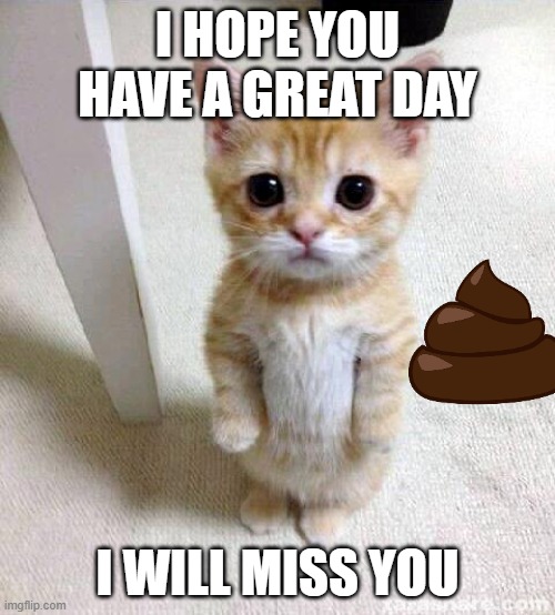 Cute Cat Meme | I HOPE YOU HAVE A GREAT DAY; I WILL MISS YOU | image tagged in memes,cute cat | made w/ Imgflip meme maker