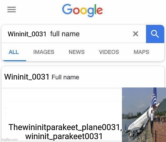 Full Name Google | Wininit_0031; Wininit_0031; Thewininitparakeet_plane0031,
wininit_parakeet0031 | image tagged in full name google | made w/ Imgflip meme maker