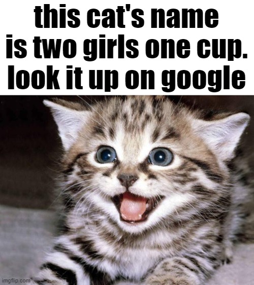 Two girls one cup  Meme show, Two girls, Cup