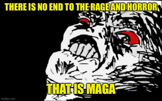 Mega Rage Face Meme | THERE IS NO END TO THE RAGE AND HORROR THAT IS MAGA | image tagged in memes,mega rage face | made w/ Imgflip meme maker