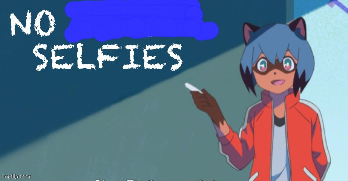 No sexual selfies | image tagged in no sexual selfies | made w/ Imgflip meme maker