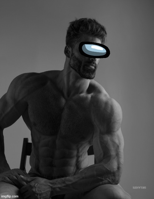Giga Chad | image tagged in giga chad | made w/ Imgflip meme maker