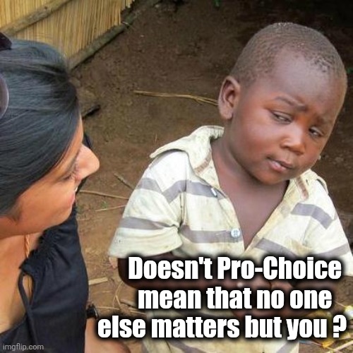 Third World Skeptical Kid Meme | Doesn't Pro-Choice 
mean that no one   
else matters but you ? | image tagged in memes,third world skeptical kid | made w/ Imgflip meme maker