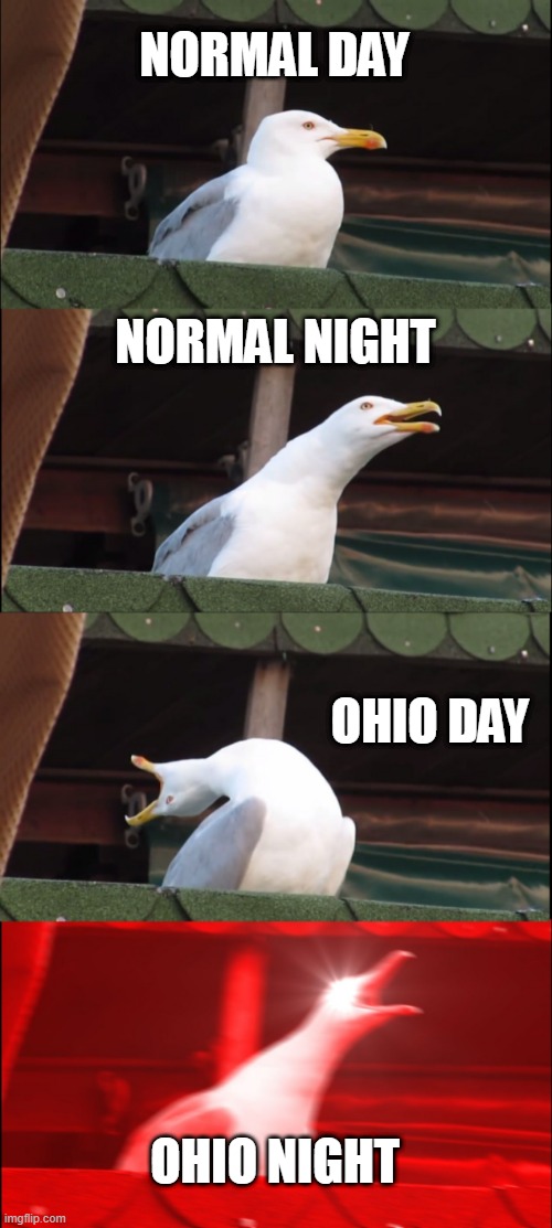 Inhaling Seagull | NORMAL DAY; NORMAL NIGHT; OHIO DAY; OHIO NIGHT | image tagged in memes,inhaling seagull | made w/ Imgflip meme maker