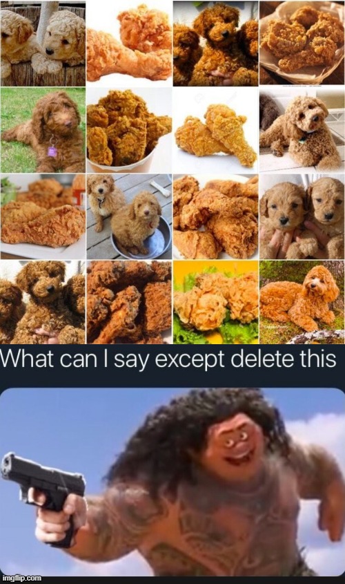 KFC or dog? | image tagged in what can i say except delete this,funny,dog,kfc,tasty,memes | made w/ Imgflip meme maker