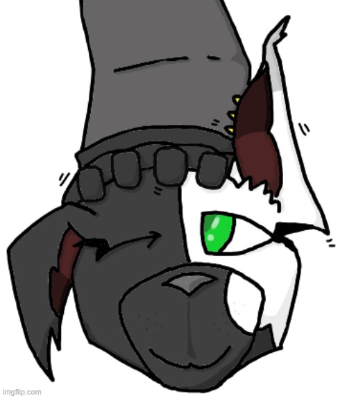 Me petting Ghost (for the contest) (More details in comments) | made w/ Imgflip meme maker