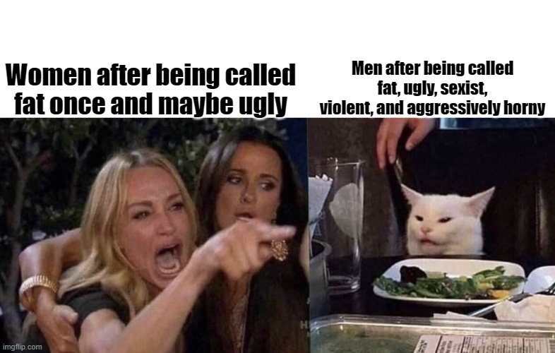 Women these days | Women after being called fat once and maybe ugly; Men after being called fat, ugly, sexist, violent, and aggressively horny | image tagged in woman yelling at cat,women,do men even have feelings,men and women,men vs women,sexism | made w/ Imgflip meme maker