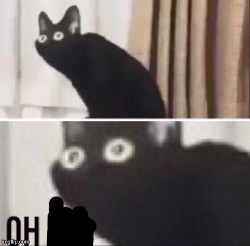 Oh no cat | image tagged in oh no cat | made w/ Imgflip meme maker