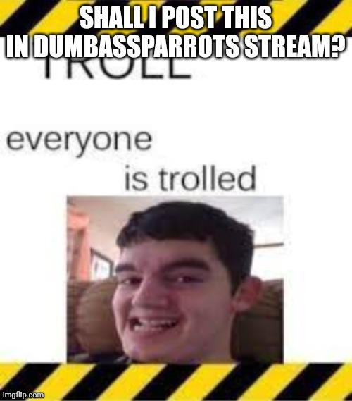 I wanna do it | SHALL I POST THIS IN DUMBASSPARROTS STREAM? | made w/ Imgflip meme maker
