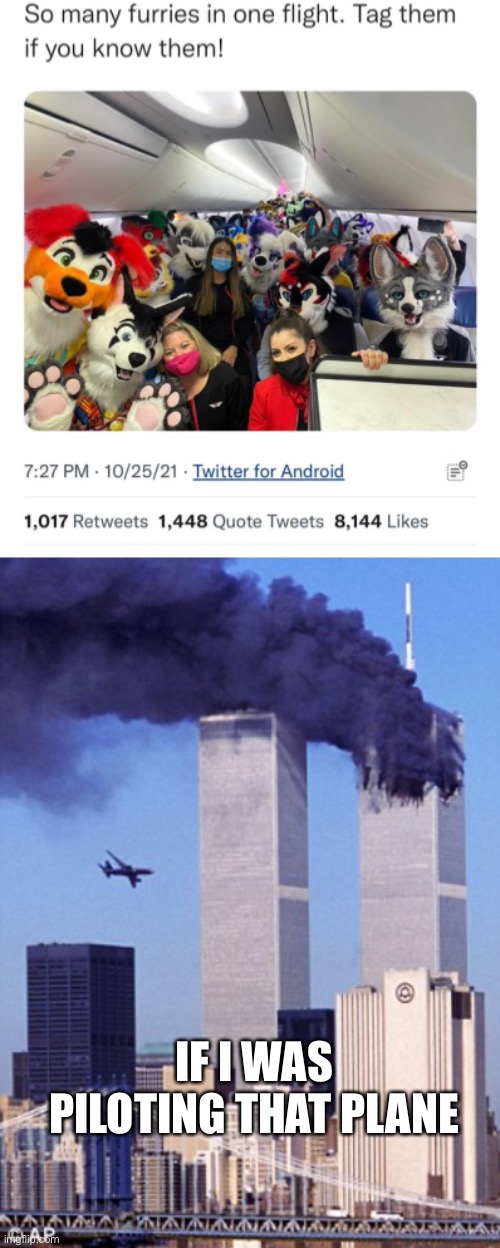 Now we know why | IF I WAS PILOTING THAT PLANE | image tagged in twin tower style | made w/ Imgflip meme maker
