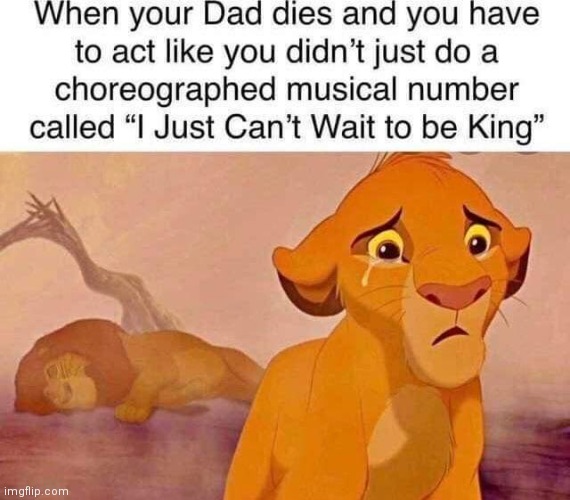 Simba just regretted that wish | image tagged in lion king,dad,disney,funny memes | made w/ Imgflip meme maker