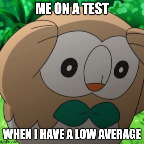 Rowlet Meme Template | ME ON A TEST; WHEN I HAVE A LOW AVERAGE | image tagged in rowlet meme template | made w/ Imgflip meme maker