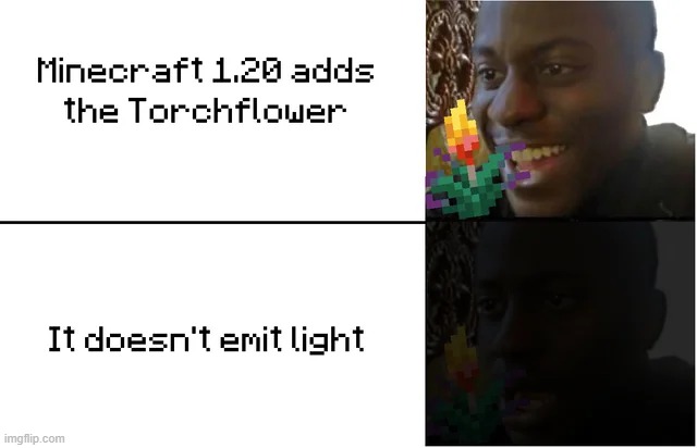 If it has "Torch" in the name, it has to glow! | image tagged in disappointed black guy,repost,minecraft,minecraft memes,memes,funny | made w/ Imgflip meme maker