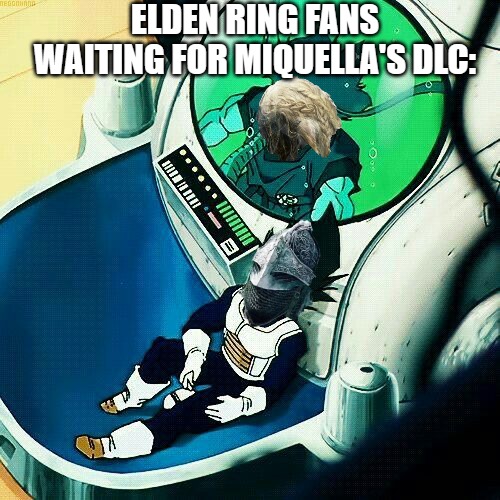 Elden Ring fans waiting for Miquella's DLC | ELDEN RING FANS WAITING FOR MIQUELLA'S DLC: | image tagged in elden ring,dragon ball z | made w/ Imgflip meme maker
