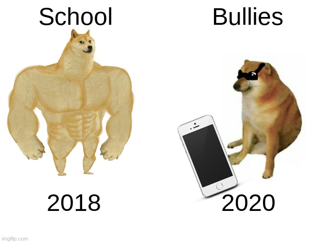 Oh, how times have changed... | School; Bullies; 2018; 2020 | image tagged in memes,buff doge vs cheems | made w/ Imgflip meme maker