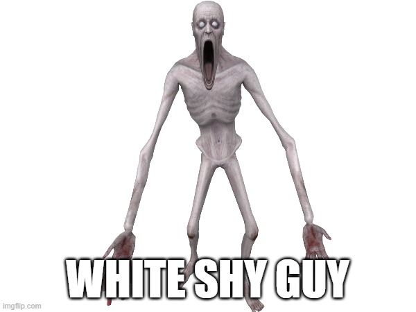 WHITE SHY GUY | made w/ Imgflip meme maker