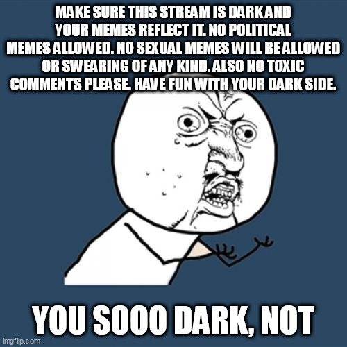 Y U No | MAKE SURE THIS STREAM IS DARK AND YOUR MEMES REFLECT IT. NO POLITICAL MEMES ALLOWED. NO SEXUAL MEMES WILL BE ALLOWED OR SWEARING OF ANY KIND. ALSO NO TOXIC COMMENTS PLEASE. HAVE FUN WITH YOUR DARK SIDE. YOU SOOO DARK, NOT | image tagged in memes,y u no | made w/ Imgflip meme maker