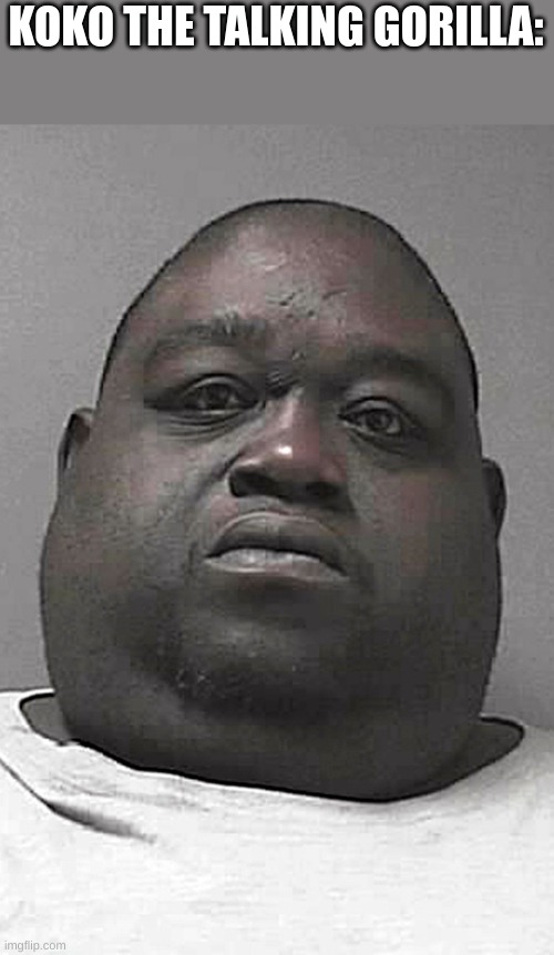 Fat Black Guy | KOKO THE TALKING GORILLA: | image tagged in fat black guy | made w/ Imgflip meme maker