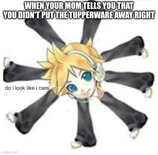 bro this happened to me this morning for the 11037th time (if yk, yk with the 11037) | WHEN YOUR MOM TELLS YOU THAT YOU DIDN'T PUT THE TUPPERWARE AWAY RIGHT | image tagged in kagamine len do i look like i care | made w/ Imgflip meme maker