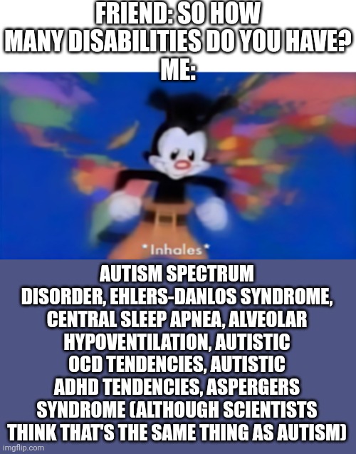 So yeah | FRIEND: SO HOW MANY DISABILITIES DO YOU HAVE?
ME:; AUTISM SPECTRUM DISORDER, EHLERS-DANLOS SYNDROME, CENTRAL SLEEP APNEA, ALVEOLAR HYPOVENTILATION, AUTISTIC OCD TENDENCIES, AUTISTIC ADHD TENDENCIES, ASPERGERS SYNDROME (ALTHOUGH SCIENTISTS THINK THAT'S THE SAME THING AS AUTISM) | image tagged in yakko inhale,disability | made w/ Imgflip meme maker