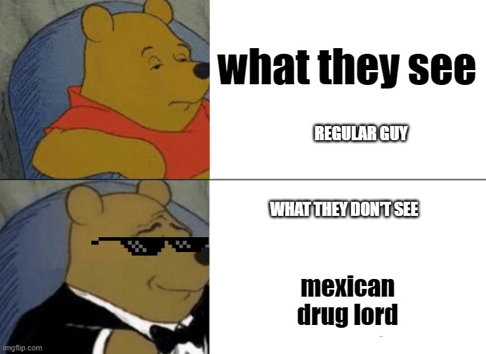 Tuxedo Winnie The Pooh | what they see; REGULAR GUY; WHAT THEY DON'T SEE; mexican drug lord | image tagged in memes,tuxedo winnie the pooh | made w/ Imgflip meme maker