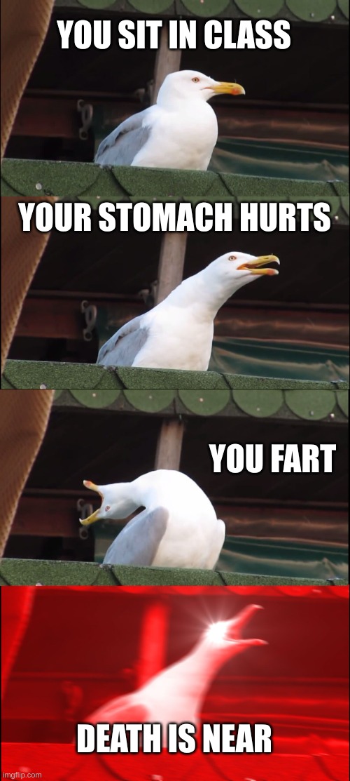 Inhaling Seagull Meme | YOU SIT IN CLASS; YOUR STOMACH HURTS; YOU FART; DEATH IS NEAR | image tagged in memes,inhaling seagull | made w/ Imgflip meme maker