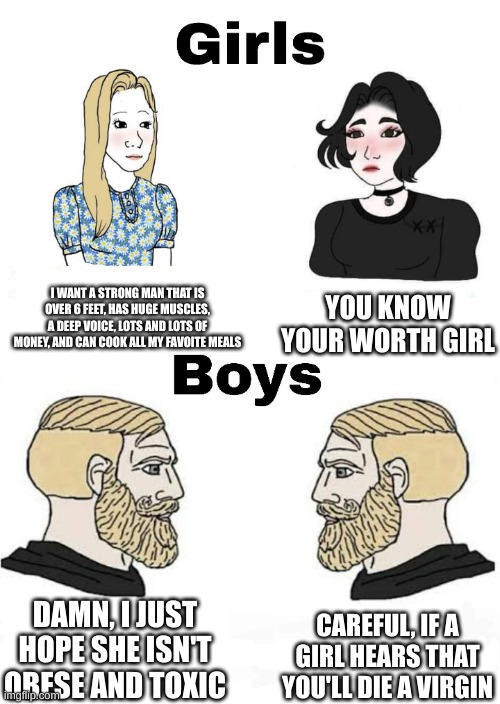 Girls vs Boys | I WANT A STRONG MAN THAT IS OVER 6 FEET, HAS HUGE MUSCLES, A DEEP VOICE, LOTS AND LOTS OF MONEY, AND CAN COOK ALL MY FAVOITE MEALS; YOU KNOW YOUR WORTH GIRL; CAREFUL, IF A GIRL HEARS THAT YOU'LL DIE A VIRGIN; DAMN, I JUST HOPE SHE ISN'T OBESE AND TOXIC | image tagged in girls vs boys | made w/ Imgflip meme maker