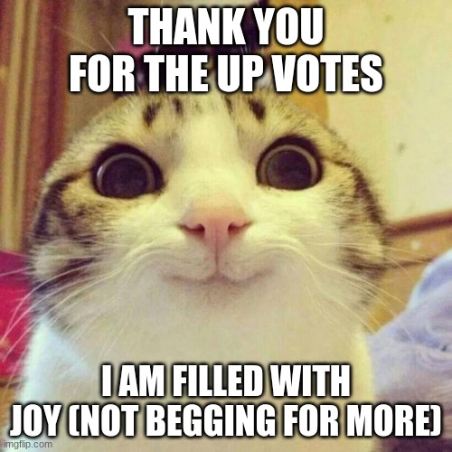 Smiling Cat | THANK YOU FOR THE UP VOTES; I AM FILLED WITH JOY (NOT BEGGING FOR MORE) | image tagged in memes,smiling cat | made w/ Imgflip meme maker