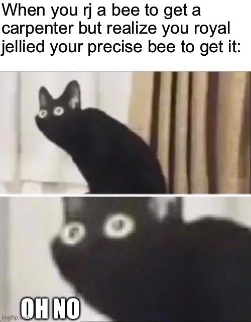Oh No Black Cat | When you rj a bee to get a carpenter but realize you royal jellied your precise bee to get it:; OH NO | image tagged in oh no black cat | made w/ Imgflip meme maker