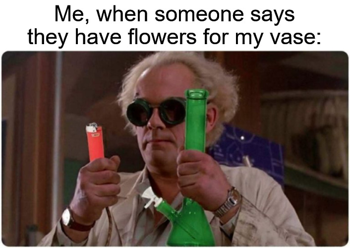 back to the future | Me, when someone says they have flowers for my vase: | image tagged in back to the future,weed,flowers,bong | made w/ Imgflip meme maker