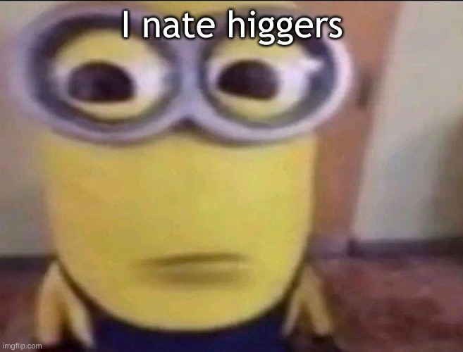 Minion Stare | I nate higgers | image tagged in minion stare | made w/ Imgflip meme maker